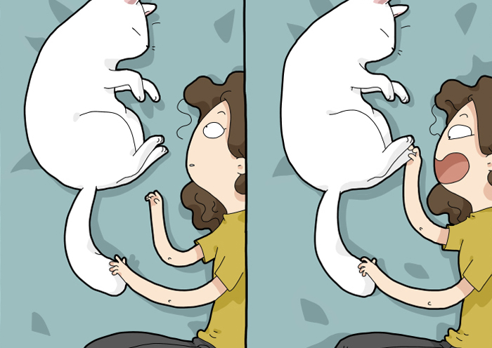 Comics About Life With A Cat